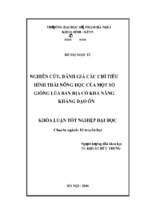 Nghiên cứu, đánh giá các chỉ tiêu hình thái nông học của một số giống lúa bản địa có khả năng kháng đạo ôn