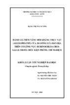 đánh giá tiềm năng đối kháng thực vật (allelopathy) của 20 giống lúa bản địa trên cỏ lồng vực (echinochloa crus galli) trong điều kiện phòng thí nghiệm