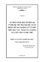 Sự phát sinh một số biến dị ở thế hệ thứ 2 (m2) do xử lí riêng rẽ tia gamma co60 và neu trên hạt nảy mầm của 2 giống lúa nếp pd2 và phu thê