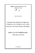 ứng dụng chỉ thị phân tử chọn lọc cá thể bc 1f1 của tổ hợp lai npt1 x kc25 mang qtl gen tăng số hạt trên bông