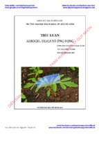 Tiểu luận khoa kĩ thuật hoá học aerogel silica và ứng dụng