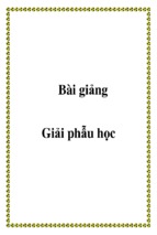 Bài giảng giải phẩu học