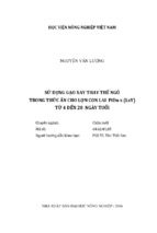 Sử dụng gạo xay thay thế ngô trong thức ăn cho lợn con lai pidu x (lxy) từ 4 đến 28 ngày tuổi