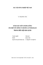đánh giá chất lượng giống của một số chủng vi khuẩn lactobacillus trong điều kiện bảo quản