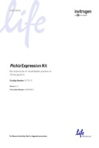 Pichia expression kit