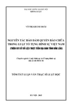 NGUYÊN TẮC BẢO ĐẢM QUYỀN BÀO CHỮA TRONG LUẬT TỐ TỤNG HÌNH SỰ VIỆT NAM