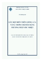 Gây đột biến trên giống lúa nàng thơm chợ đào bằng phương pháp sốc nhiệt