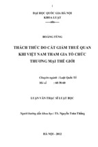 THÁCH THỨC DO CẮT GIẢM THUẾ QUAN KHI VIỆT NAM THAM GIA TỔ CHỨC THƯƠNG MẠI THẾ GIỚI