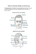 Tóm tắt thuyết minh các huyệt đạo