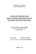 Xây dựng quy trình nhân giống khoai lang tím nhật (beniazuma) bằng phương pháp nuôi cấy mô in vitro