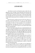 Thực trạng của quá trình phân phối và các giải pháp để nâng cao, hoàn  thiện quan hệ phân phối ở việt nam trong thời gian tới