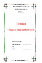 Tiểu luận Tổng quan pháp luật kinh doanh