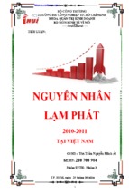 Nguyên nhân lạm phát 2010 2011 tại việt nam