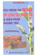 Sâu bệnh hại ngô cây lương thực trồng cạn & biện pháp phòng trừ