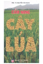 Cẩm nang cây lúa