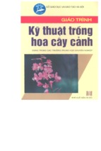 Giáo trình kỹ thuật trồng hoa cây cảnh