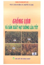 Giống lúa và sản xuất hạt giống lúa