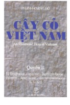 Cây cỏ việt nam tập 2