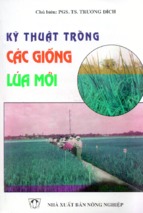 Kỹ thuật trồng các giống lúa mới