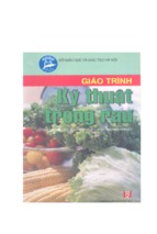 Giáo trình kỹ thuật trồng rau