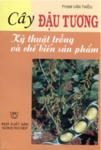 Cây dậu tương kỹ thuật trồng và chế biến sản phẩm