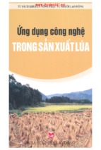 ứng dụng công nghệ trong sản xuất lúa