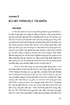 RỦI RO THÂM HỤT TÀI KHÓA