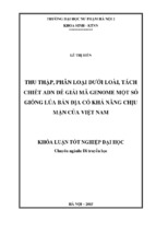 Thu thập, phân loại dưới loài, tách chiết adn để giải mã genome một số giống lúa bản địa có khả năng chịu mặn của việt nam