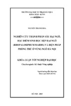 Nghiên cứu thành phần sâu hại ngô, đặc điểm sinh học rệp hại ngô (rhopalosiphum maidis) và biện pháp phòng trừ ở vùng ngô hà nội