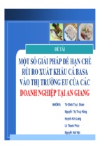 MỘT SỐ GIẢI PHÁP ĐỂ HẠN CHẾ RỦI RO XUẤT KHẨU CÁ BASA VÀO THỊ TRƯỜNG EU CỦA CÁC DOANH NGHIỆP TẠI AN GIANG