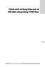 Chính sách sử dụng hiệu quả và tiết kiệm năng lượng ở Việt Nam