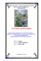 Skkn kinh nghiệm chỉ đạo xây dựng vườn rau, quả tại trường mnb   đông mỹ