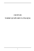 Chuyên đề ôn thi học sinh giỏi sinh học thpt vi sinh vật lên men và ứng dụng