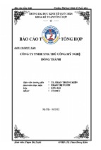 Báo cáo tổng hợp về tổ chức kế toán tại công ty tnhh xnk thủ công mỹ nghệ đông thành