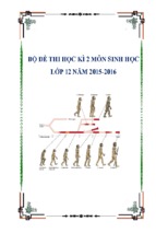 Bộ đề thi học kì 2 môn sinh học lớp 12 năm 2015 2016