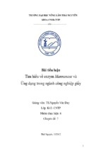 Tìm hiểu về enzym Mannanase và Ứng dụng trong ngành công nghiệp giấy 