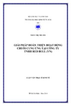 Giải pháp hoàn thiện hoạt động chuỗi cung ứng tại công ty tnhh red bull