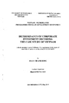 Determinants of corporate investment decisions the case study of vietnam