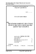 Skkn một số kinh nghiệm về việc sử dụng đồ dùng trực quan trong dạy học lịch sử việt nam lớp 12