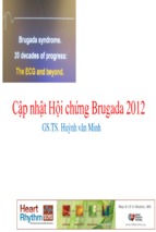 CẬP NHẬT HỘI CHỨNG BRUGADA 2012