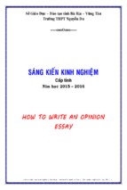 Skkn how to write an opinion essay 