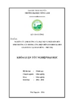 Nghiên cứu ảnh hưởng của mật độ và phân bón đến sinh trưởng của cây bương lông điện biên (dendrocalamus giganteus) tại đoan hùng – phú thọ