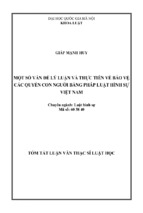 Lhs giáp minh huy một số vấn đề lý luận và thực tiễn về bảo vệ các quyền con người bằng pháp luật hình sự việt nam