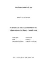 Phát triển sản xuất vải chín sớm phúc hòa  trên địa bàn huyện tân yên, tỉnh bắc giang