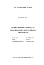 Giải pháp phát triển cánh đồng lớn  trong sản xuất lúa tại huyện triệu sơn,  tỉnh thanh hoá