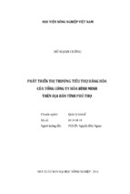 Phát triển thị trường tiêu thụ hàng hóa  của tổng công ty hòa bình minh  trên địa bàn tỉnh phú thọ