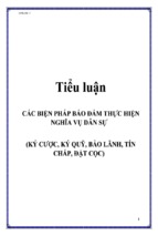 Tiểu luận các biện pháp bảo đảm thực hiện nghĩa vụ dân sự, luận văn tốt nghiệp đại học, thạc sĩ, đồ án,tiểu luận tốt nghiệp