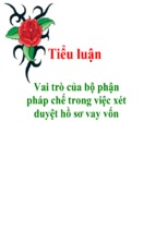 Tiểu luận vai trò của bộ phận pháp chế trong việc xét duyệt hồ sơ vay vốn, luận văn tốt nghiệp đại học, thạc sĩ, đồ án,tiểu luận tốt nghiệp