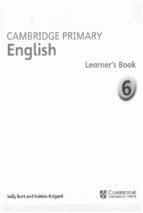 Cambridge primary english 6 learner's book