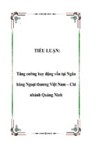 Tiểu luận tăng cường huy động vốn tại ngân hàng ngoại thương việt nam – chi nhánh quảng ninh, luận văn tốt nghiệp đại học, thạc sĩ, đồ án,tiểu luận tốt nghiệp